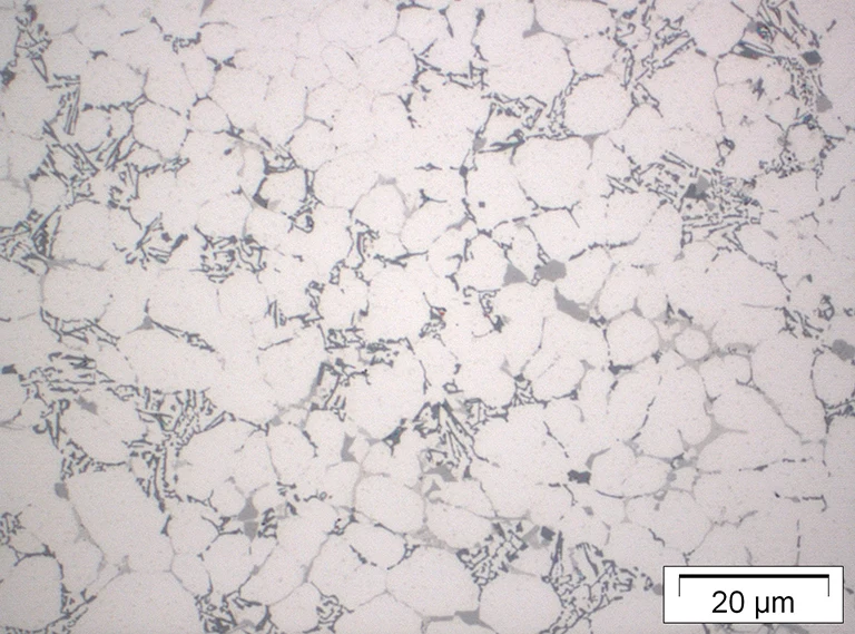 Mikroskopische Aufnahme, die ein Netzwerk unregelmäßiger weißer Bereiche zeigt, die durch dünne, graue, netzartige Linien getrennt sind; der Maßstabsbalken unten rechts zeigt 20 Mikrometer an.