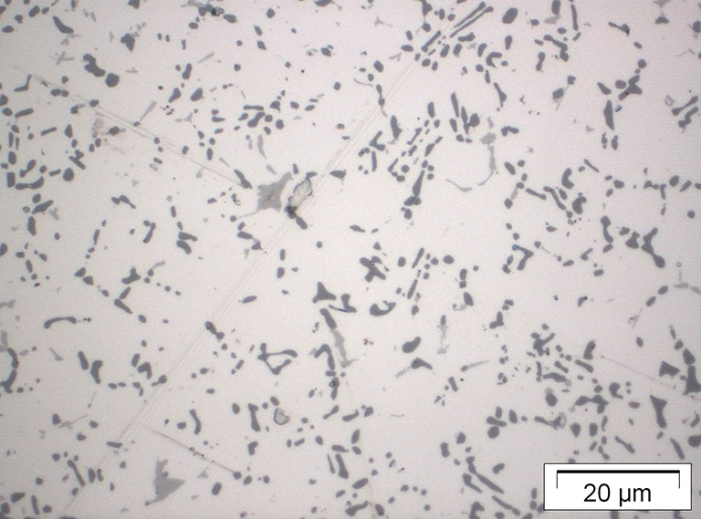 Die mikroskopische Aufnahme zeigt einen weißen Hintergrund mit zahlreichen unregelmäßig geformten schwarzen Partikeln, die überall verstreut sind. Der Maßstabsbalken unten rechts zeigt eine Länge von 20 Mikrometern (µm) an.